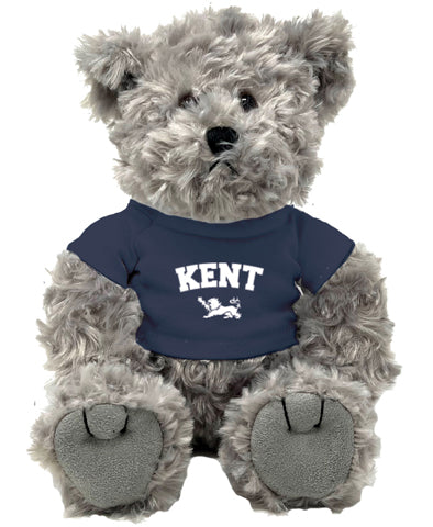 Traditional Bear with T-Shirt